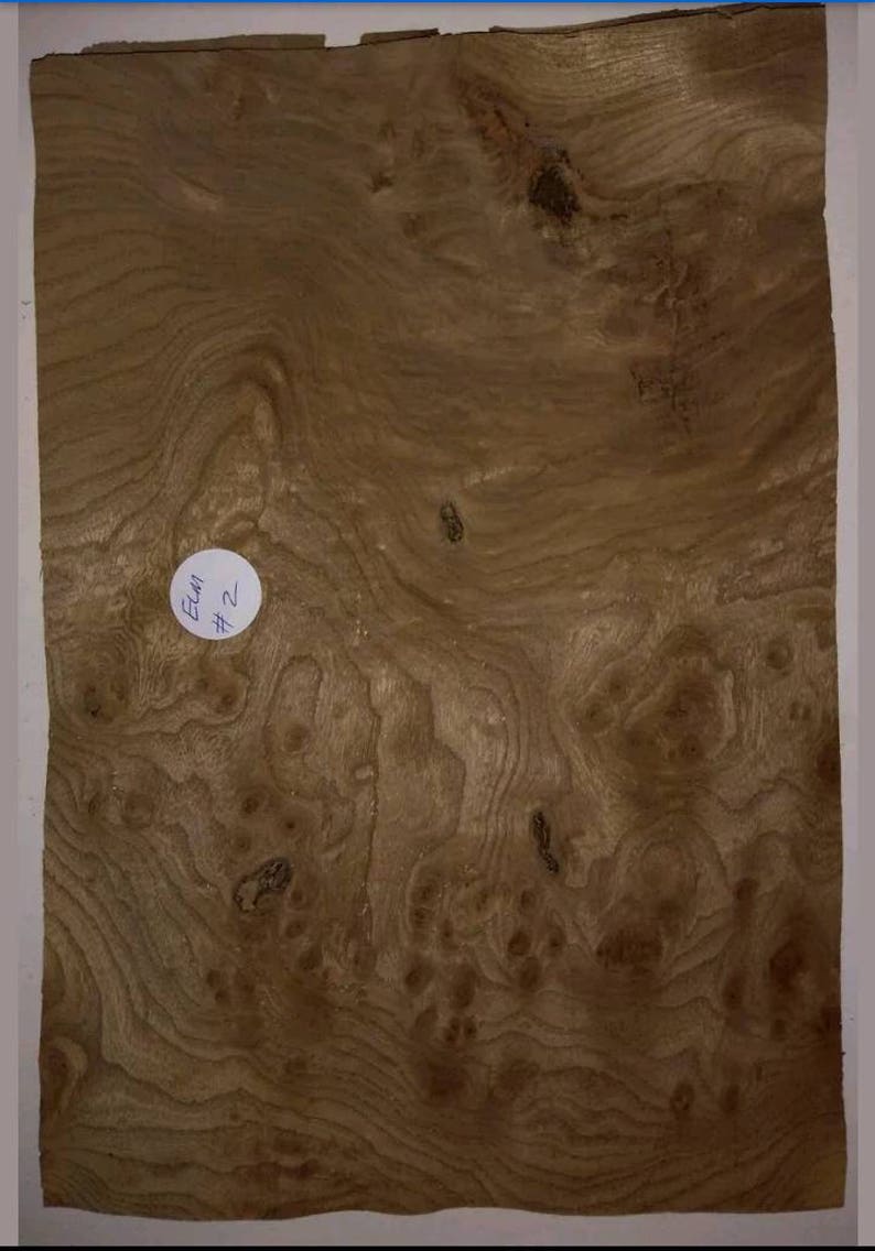 CONSECUTIVE SHEETS OF OLIVE ASH VENEER 21 X 31 CM OA#31 MARQUETRY