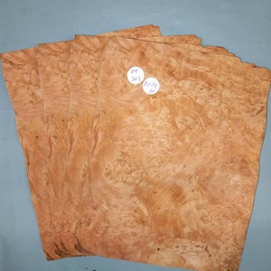Chestnut burr veneer - 4 consecutive sheets 18x24cm - ET301
