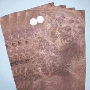 American Walnut burr veneer - 4 consecutive sheets 16x25cm - ET775
