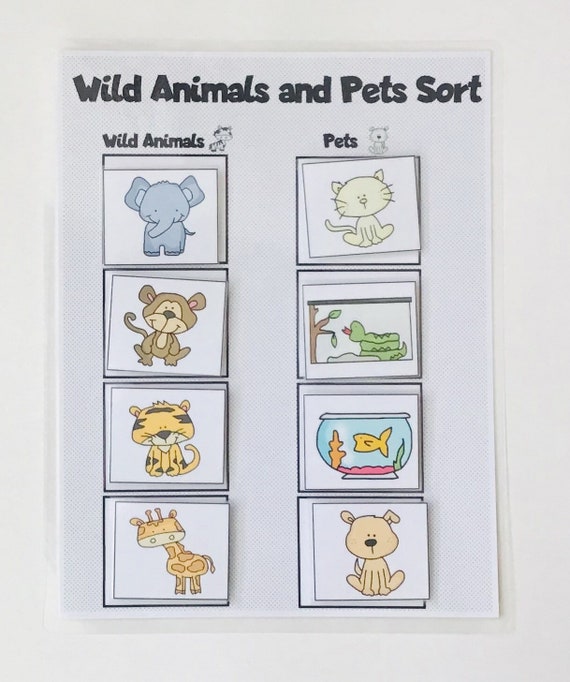 Wild Animals and Pets Sorting Game Etsy
