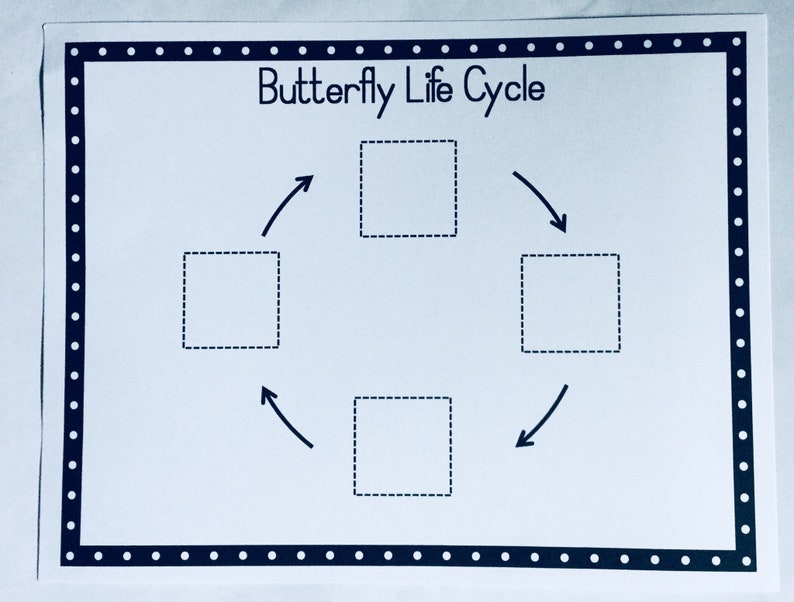 Butterfly Life Cycle Game Learning GameEducational Etsy