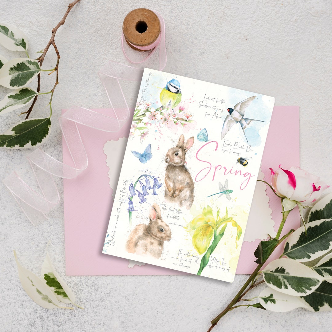 A5 Notebook Nature's Diary Spring From Beverley Fisher Studio - Etsy UK