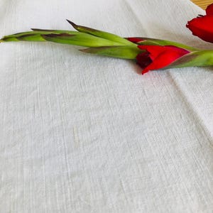 以下が含まれることがあります： 鮮やかな赤い花びらと緑のつぼみを持つグラジオラスの茎が、質感のあるオフホワイトのリネン生地の上に水平に置かれています。茎は長く細い緑色の柄で、尖った未開花のつぼみと、完全に開いた2つの赤い花が特徴です。