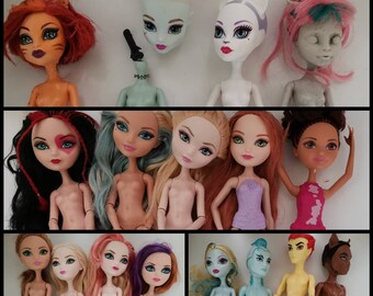 blank monster high dolls