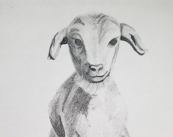 Croquis d'agneau, dessin, croquis, impression, animal, bébé, mouton, gris, noir, blanc, original, fait main, USA