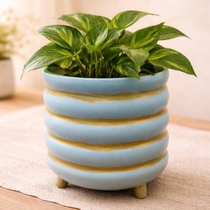 May include: A light blue ceramic planter with horizontal yellow stripes and small wooden feet. The planter holds a green plant with variegated leaves. The pot has a rounded shape and sits on a neutral-colored surface.