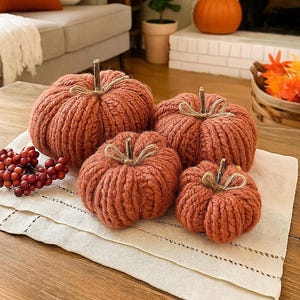 Chunky Knit Pumpkin: Handmade Crochet Fall Decor with Twig Stem