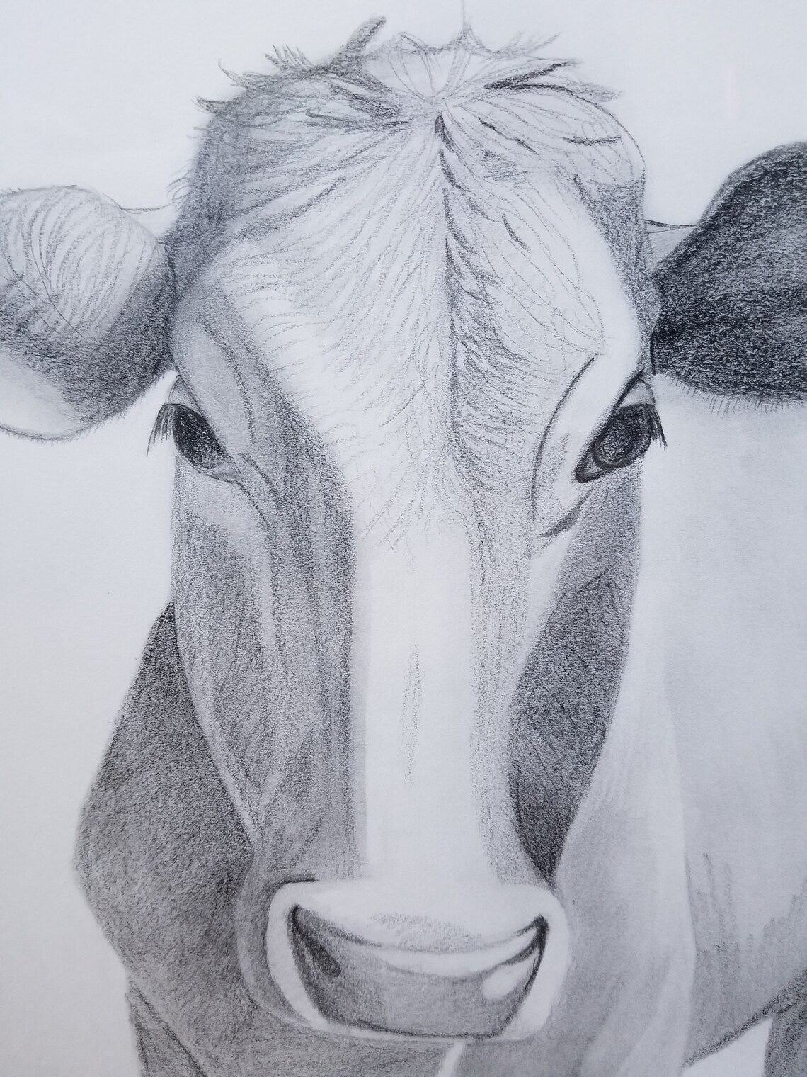 I Need More Cowbell Original Drawing Framed Art Black And Etsy New I need more cowbell original drawing framed art black and etsy new