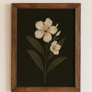 Puede incluir: Una impresión enmarcada de una flor blanca con hojas verdes sobre un fondo verde oscuro.