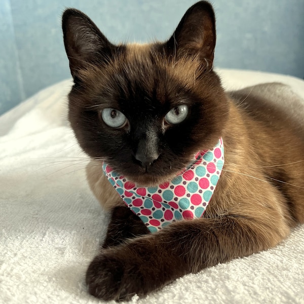 Bandana pour chat et petit chien en tissu