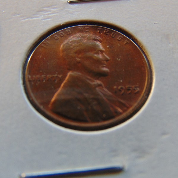 1955 Copper Wheat Penny * XF Brown & Tea Color Almost 70 Years Old!