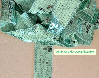 2cm or 4cm Paillette Ribbon Grey Silver on grey background Sequin Vanessa Bruno