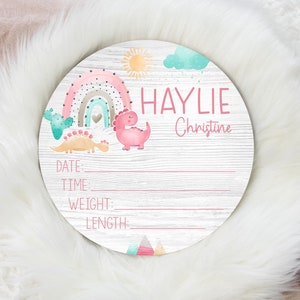 Girl Dinosaur Desert Birth Stat Sign, Round Wood Birth Stat Sign, Dinosaur Nursery, Dinosaur Rainbow Sign, Personalized Birth Stat Sign G46