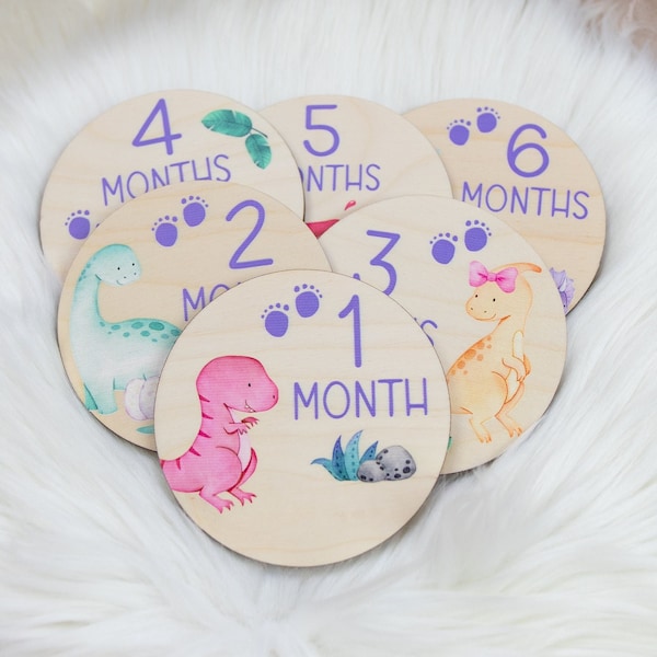 Dinosaur Milestone Cards, Baby Milestone Dinosaur Discs Marker, Wood Milestone Card, Baby Milestones, Photo Prop, Dinosaur Nursery Theme G20