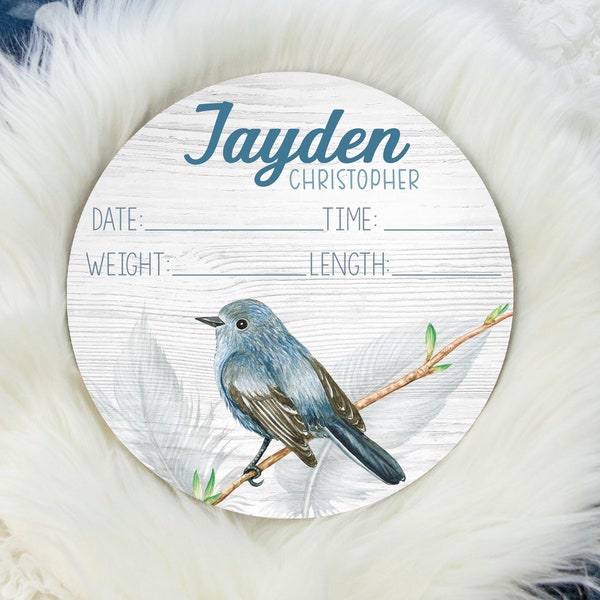 Blue Jay Birth Stat Sign, Wood Birth Stat Sign, Bird Birth Stat Sign, Baby BlueJay Bird Sign, Personalized Birth Stat Sign, Newborn Gift B40