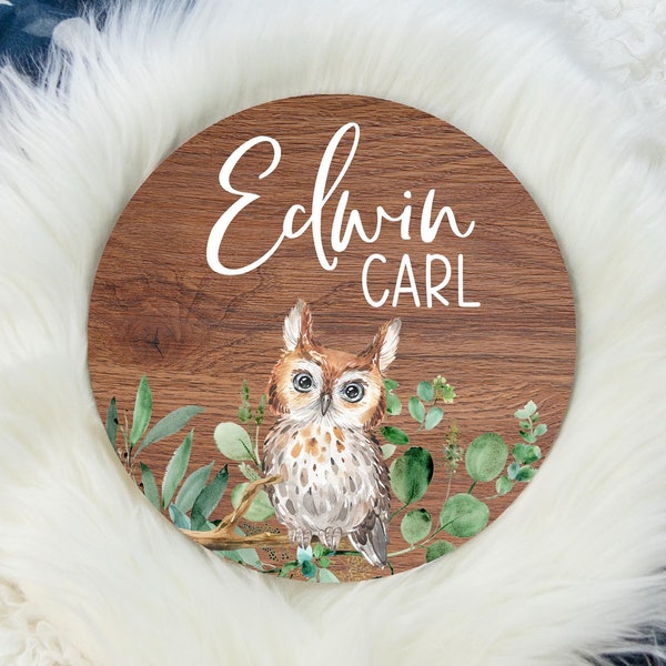 Woodland Owl Name Sign, Round Wood Name Sign, Wood Baby Name Sign, Owl Baby Sign, Baby Announcement Sign, Boy Owl Sign W37