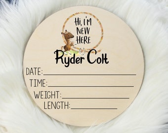 Birth Stat Sign, Round Wood Birth Stat Sign, Horse Birth Stat Sign, Hi I'm New Here Sign, Personalized Birth Stat Sign, Newborn Gift C7
