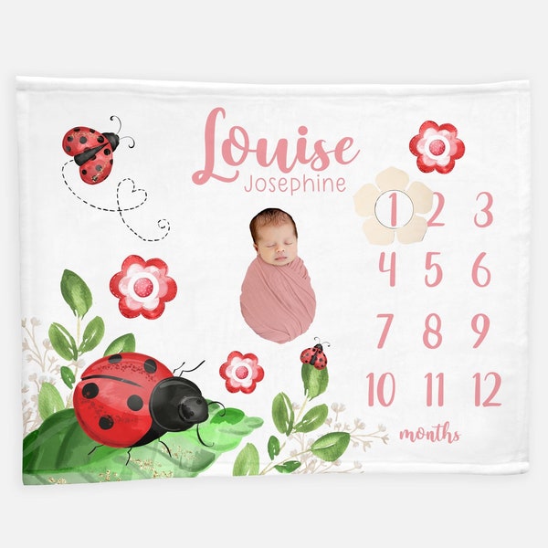 Ladybug Baby Milestone Blanket, Girl Milestone Blanket, Personalized Baby Blanket, Month Baby Blanket, Baby Girl Blanket, Girl Ladybug G50