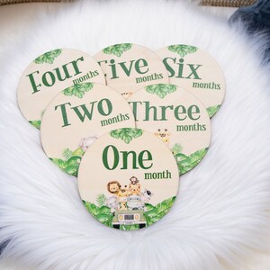 Safari Milestone Cards, Baby Milestone Safari Discs Marker, Wood Milestone Card, Baby Milestones, Photo Prop, Safari Jungle Nursery, S53