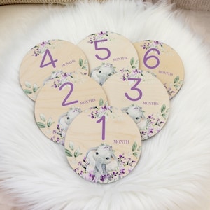 Girl Elephant Milestone Cards, Baby Milestone Elephant Marker, Wood Milestone Card, Baby Milestones, Photo Prop, Elephant Nursery Theme S51
