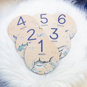 Shark Milestone Cards, Baby Milestone Ocean Life Discs Marker, Wood Milestone Cards, Baby Milestones, Under The Sea Nursery Theme O32