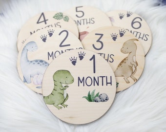 Dinosaur Milestone Cards, Baby Milestone Dinosaur Discs Marker, Wood Milestone Card, Baby Milestones, Photo Prop, Dinosaur Nursery Theme B23