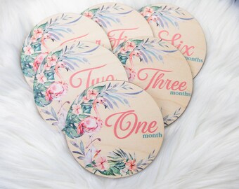 Flamingo Milestone Cards, Tropical Milestone Markers, Wood Milestone Card, Baby Milestones, Photo Prop, Flamingo Nursery Theme G22