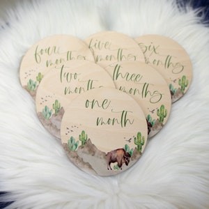 May include: Set of six wooden baby milestone cards with a desert theme. Each card features a different number from one to six, with the word "month" written below. The cards are decorated with cacti, birds, and a watercolor background. The card for one month also features a bison.