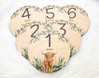 Boy Highland Cow Milestone Cards, Baby Milestone Cow Markers, Wood Milestone Cards, Baby Milestones, Photo Prop, Highland Cow Nursery C21