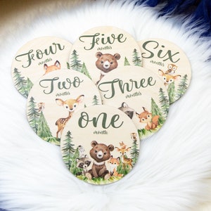 Woodland Milestone Cards, Baby Milestone Woodland Discs Marker, Wood Milestone Card, Baby Milestones, Photo Prop, Woodland Nursery Theme W27