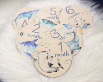 Shark Milestone Cards, Baby Milestone Ocean Life Discs Marker, Wood Milestone Cards, Baby Milestones, Under The Sea Nursery Theme O3