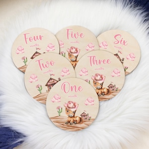 Western Milestone Cards, Cowgirl Horse Milestone Cards, Wood Milestone Card, Baby Milestones, Photo Prop, Western Cowgirl Nursery Theme D14