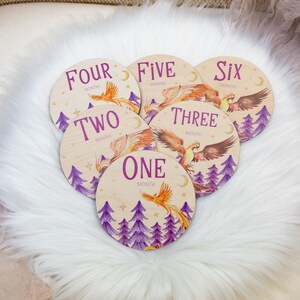 Phoenix Milestone Cards, Baby Milestone Phoenix Milestone Markers, Wood Milestone Card, Baby Milestones, Photo Prop, Phoenix Nursery B30