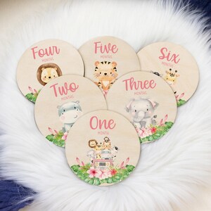 Safari Milestone Cards, Baby Milestone Safari Marker, Wood Milestone Card, Baby Milestones, Photo Prop, Safari Jungle Nursery Theme S38