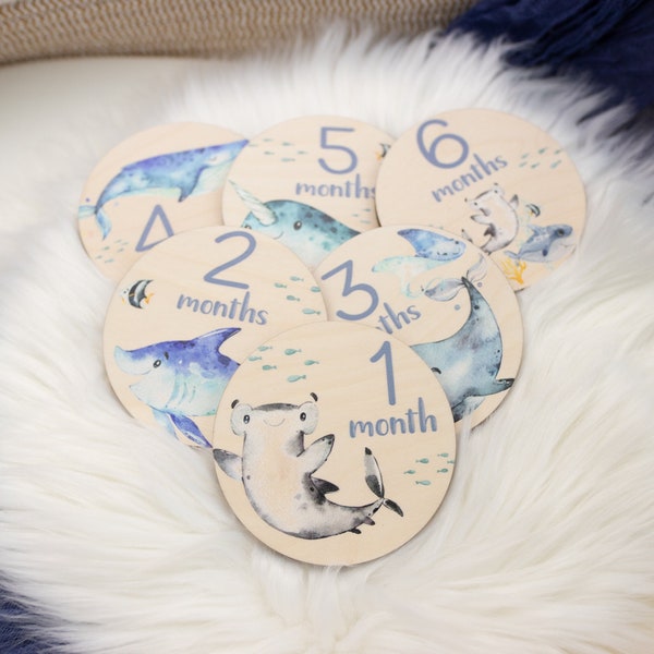 Shark Milestone Cards, Baby Milestone Ocean Life Discs Marker, Wood Milestone Cards, Baby Milestones, Under The Sea Nursery Theme O3