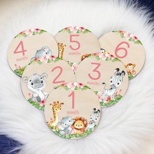 Girl Safari Milestone Cards, Baby Milestone Safari Discs Marker, Wood Milestone Card, Baby Milestones, Photo Prop, Safari Nursery Theme S3