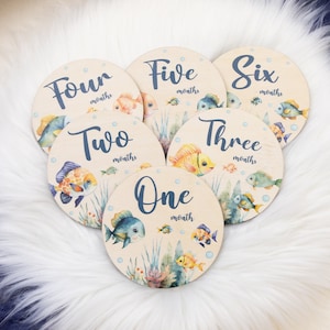 Under The Sea Milestone Cards, Baby Milestone Fish Discs Marker, Wood Milestone Cards, Baby Milestones, Tropical Fish Nursery Theme O36