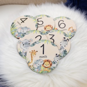 Safari Milestone Cards, Baby Milestone Safari Discs Marker, Wood Milestone Card, Baby Milestones, Photo Prop, Safari Jungle Nursery Theme S3