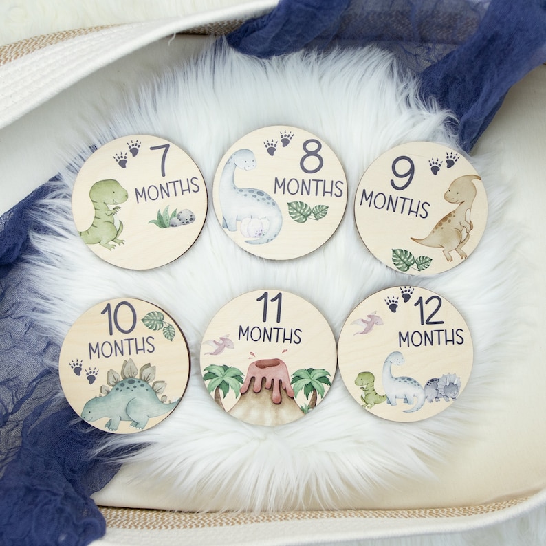 May include: Set of 6 wooden baby milestone discs featuring dinosaur illustrations and the numbers 7 through 12 with the word "months" printed below each number. The discs are on a white fluffy surface.