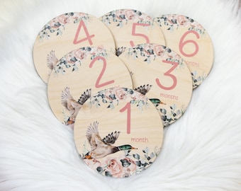 Girl Duck Milestone Cards, Baby Milestone Marker, Wood Milestone Card, Baby Milestones, Baby Photo Prop, Mallard Duck Hunter Nursery B33