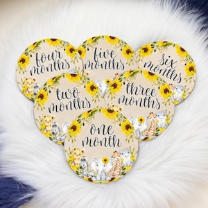 Girl Sunflower Safari Milestone Cards, Baby Milestone Safari Discs Marker, Wood Milestone Card, Baby Milestones, Photo Prop,  Safari Girl S2