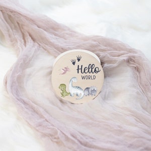 May include: A round wooden sign with a dinosaur theme. The sign features a pink, green, and gray dinosaur with the text "Hello World" in black.
