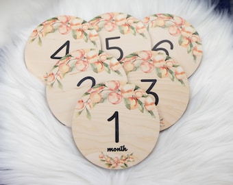 Peaches Milestone Cards, Baby Milestone Peaches Marker, Wood Milestone Card, Baby Milestones, Photo Prop, Georgia Peach Nursery F49