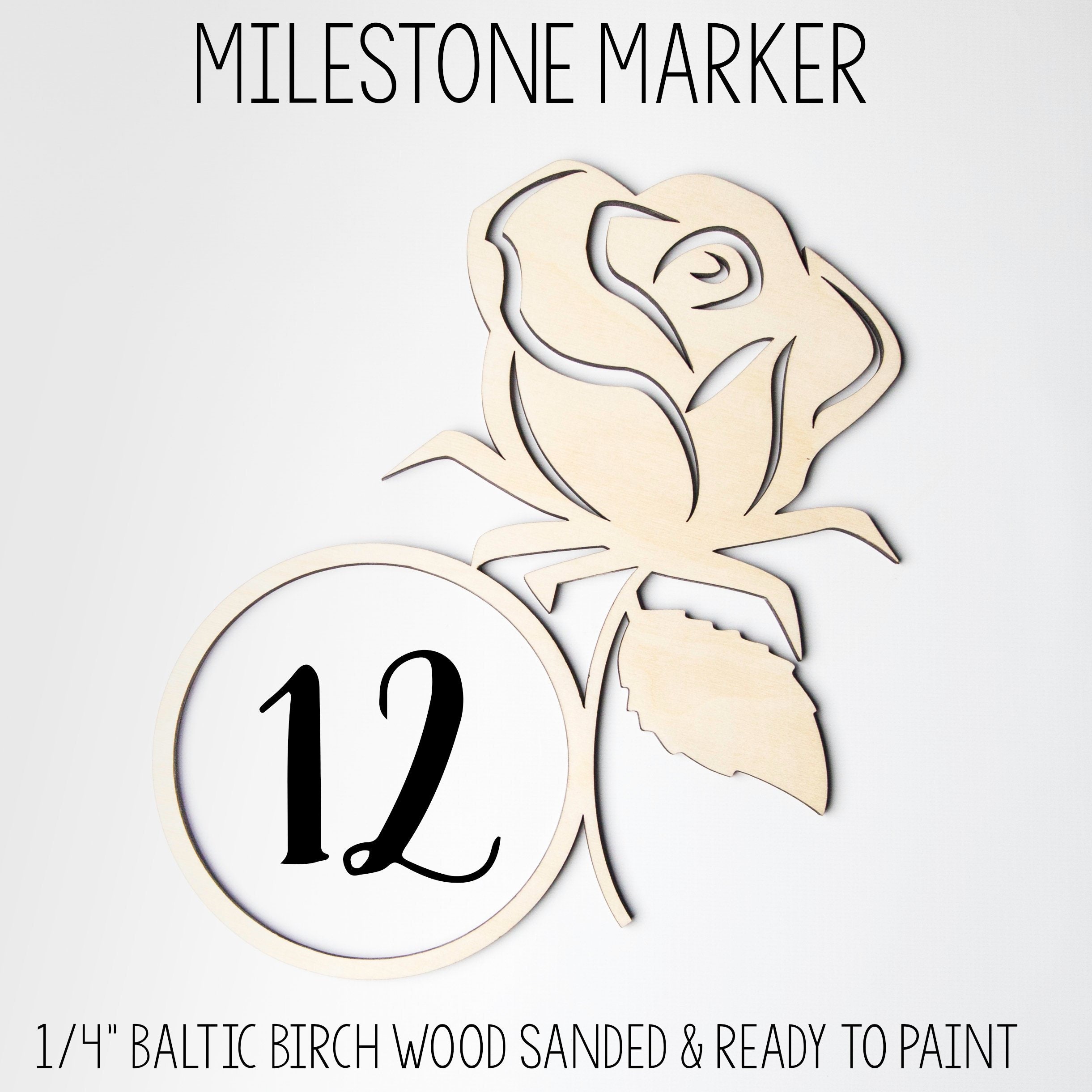 Monthly Tracker Rose Baby Milestone Marker Newborn photo prop Baby Gift Baby Shower Gift