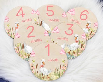 Girl Goose Milestone Cards, Gosling Baby Milestone Marker, Wood Milestone Card, Baby Milestones, Baby Photo Prop, Goose Nursery B88