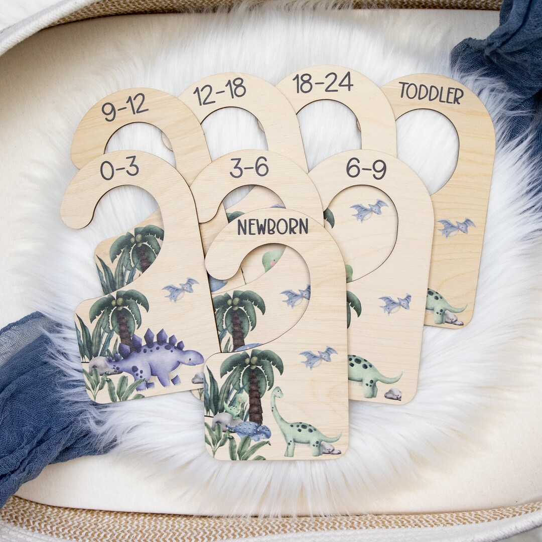 Dinosaur Clothing Dividers Dinosaur Baby Clothing Divider Etsy