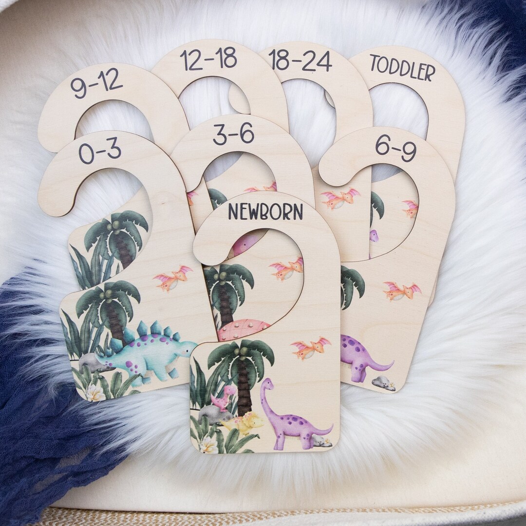 Girl Dinosaur Clothing Dividers, Dinosaur Baby Clothing Divider, Wood
