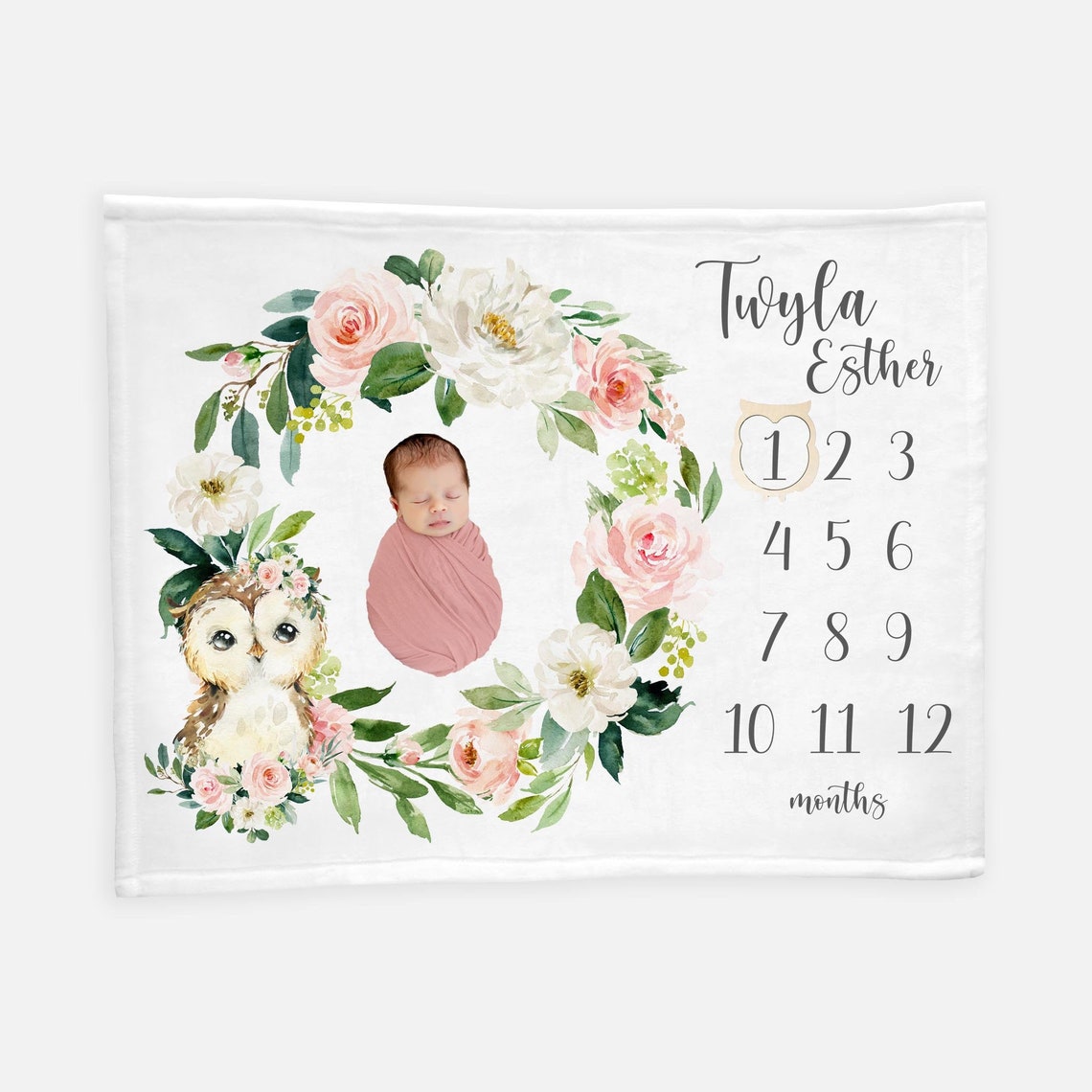 Owl Girl Milestone Blanket Owl Monthly Baby Blanket Blush Etsy