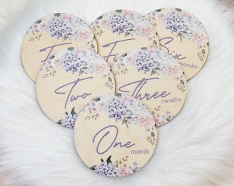 Hydrangea Milestone Cards, Baby Milestone Hydrangea Floral Marker, Wood Milestone Card, Baby Milestones, Photo Prop, Floral Nursery F66