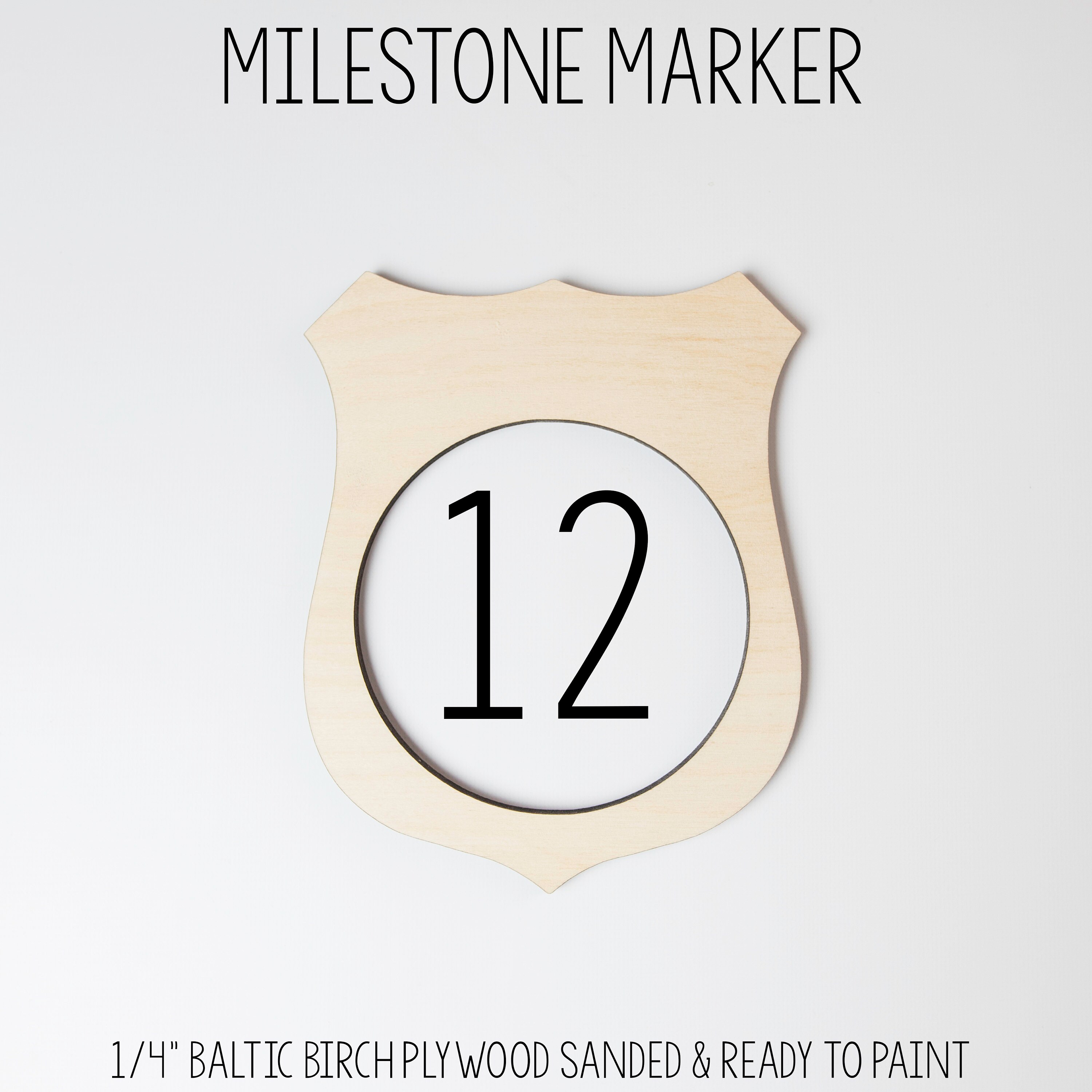 Thin Blue Line Baby Milestone Blanket Policeman Baby Blanket Etsy